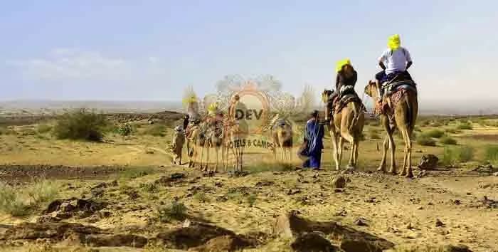Guides leading camels through scrub