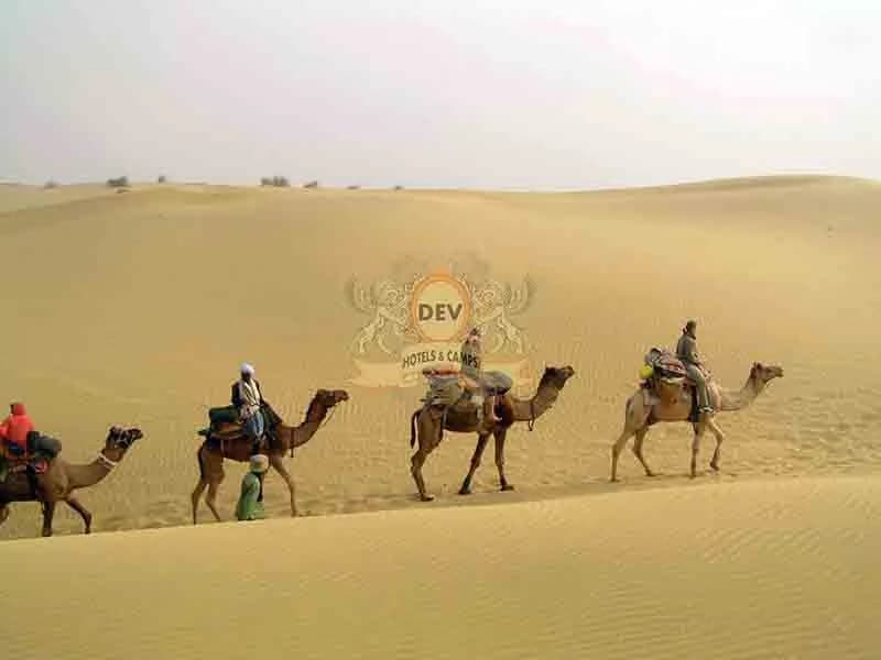 Camel caravan on the dunes